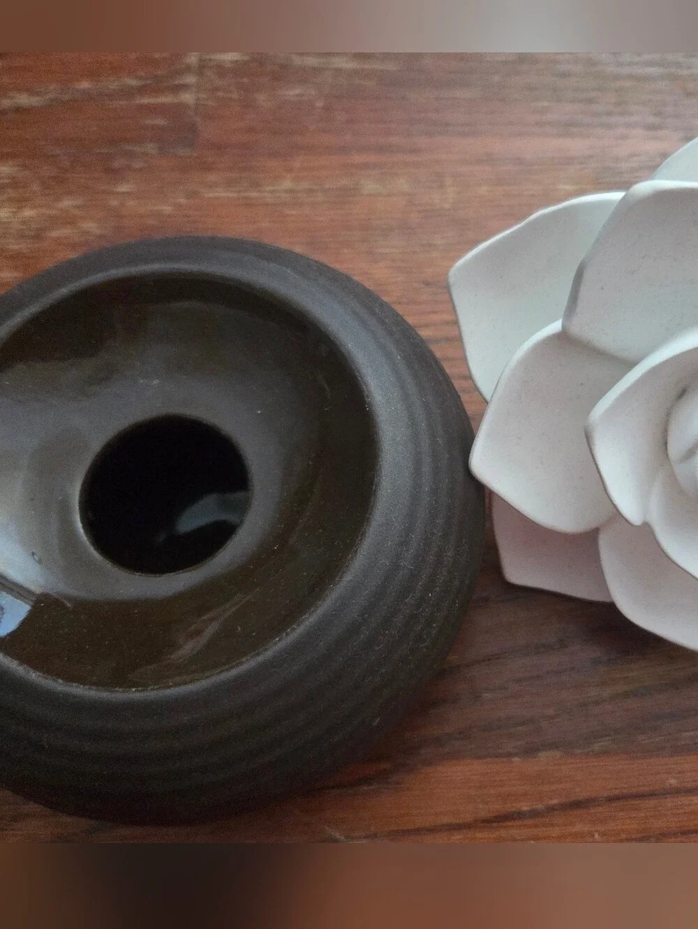 PartyLite White Ceramic Succulent Diffuser Accent